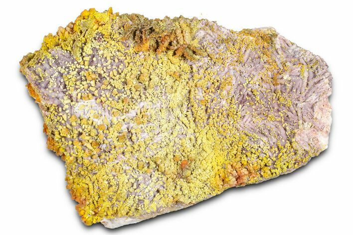 Yellow-Orange Vanadinite & Wulfenite Crystal Cluster - Arizona #368921
